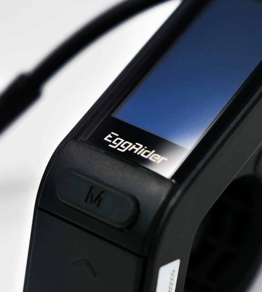 EggRider Display / SUR-RON Light Bee - EVFREAKS