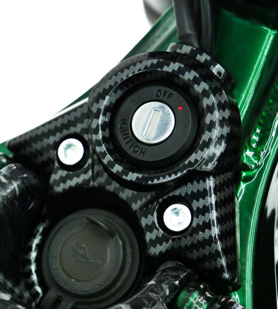 Ignition Key Plate Cover Hydro-Dipped / SUR-RON Light Bee - EVFREAKS