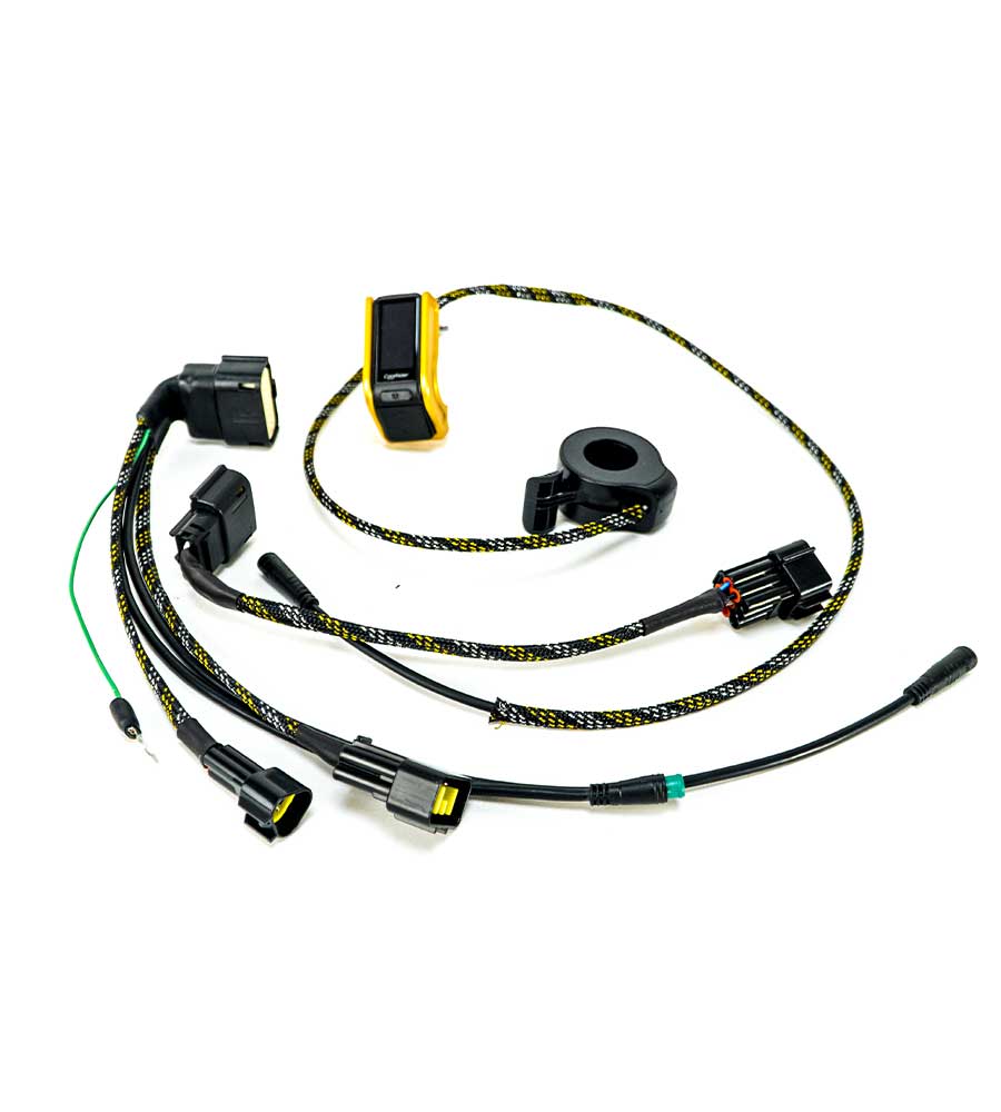 Wiring Loom For ASI Bac Controllers - EVFREAKS