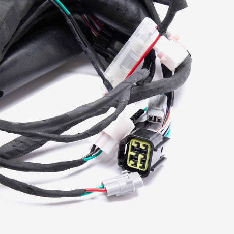Wiring Loom 2