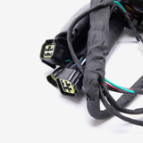 Wiring Loom 3
