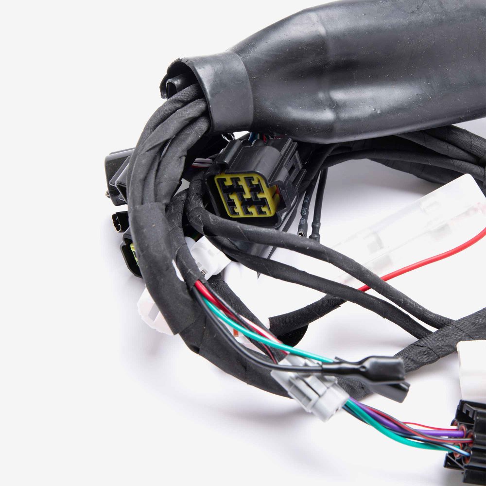 Wiring Loom 6