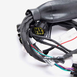 Wiring Loom 6