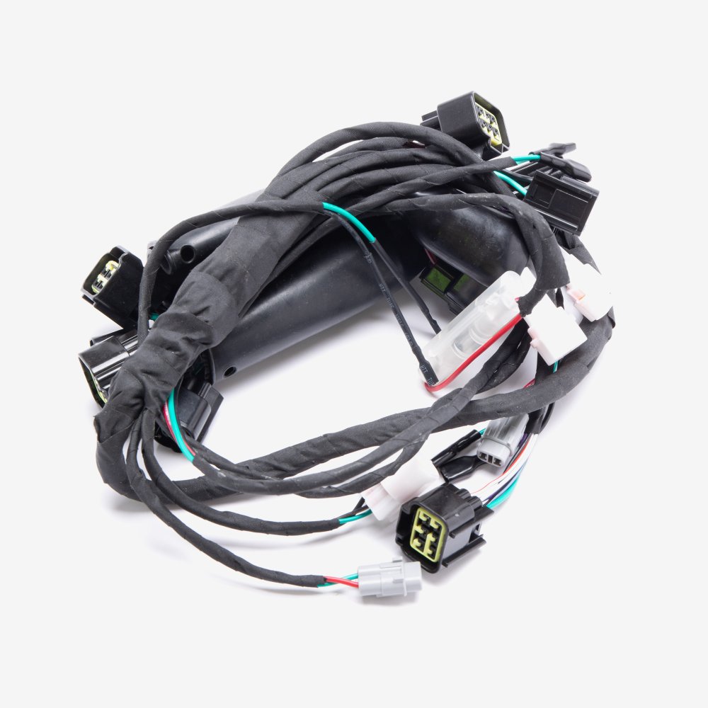 Wiring Loom