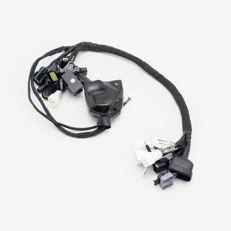 Wiring Loom 2