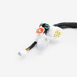 Wiring Loom 5